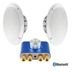 Bluetooth speaker set